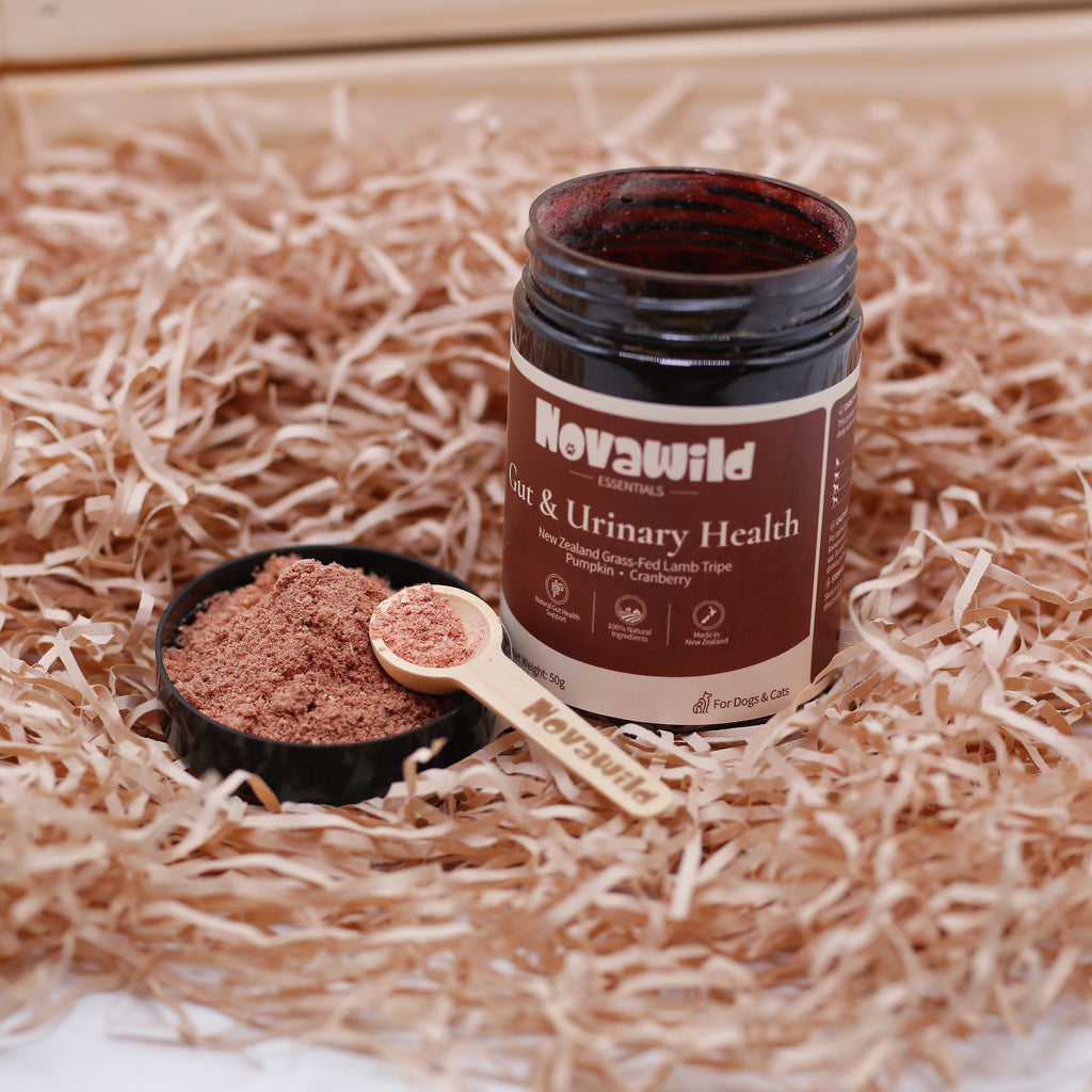 Gut & Urinary Health 50g